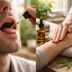 découvrez pourquoi l'huile de cbd utilisée en application sublinguale ou en massage gagne en popularité, ses bienfaits, et comment elle peut améliorer votre bien-être au quotidien.