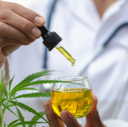 reconnaître un CBD de qualité