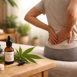 découvrez comment le cbd peut offrir un soutien naturel contre la discopathie et soulager les douleurs dorsales.