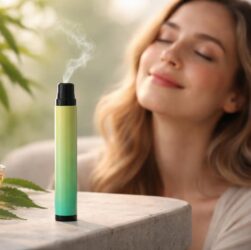 découvrez les effets ressentis avec le puff cbd jetable, une solution pratique pour profiter des bienfaits du cannabidiol en toute simplicité.
