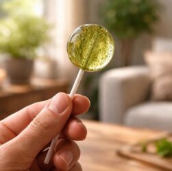 explorez comment les sucettes de cbd peuvent améliorer votre bien-être grâce à leurs bienfaits méconnus et naturels. un guide pour découvrir ces douceurs bénéfiques au quotidien.
